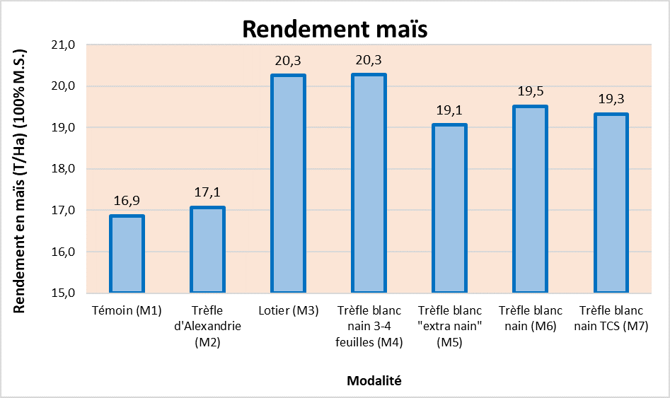 Rendement du mais
